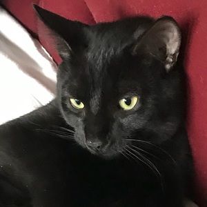 Meet your Posher, Inga